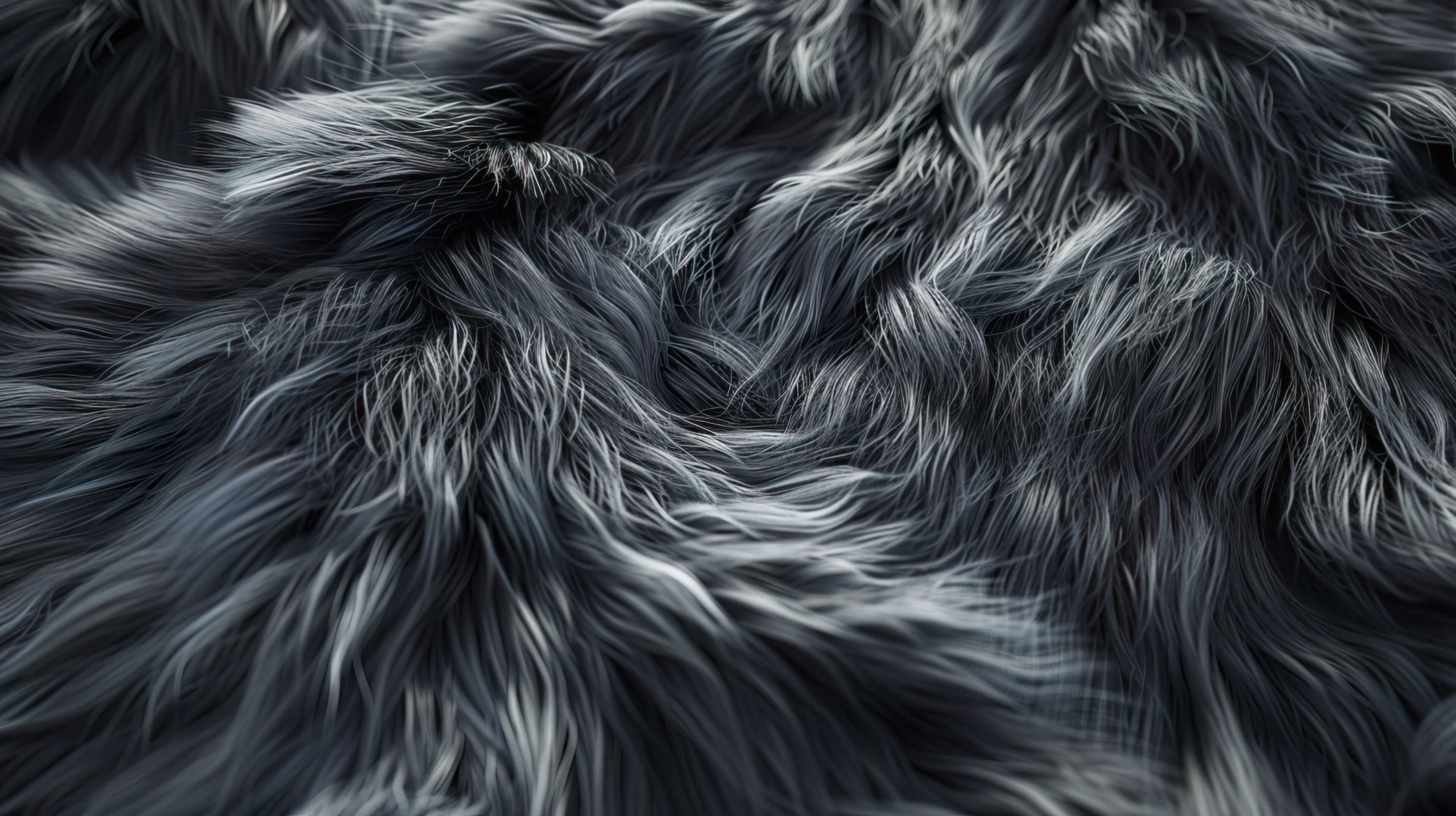 Fur Wallpaper 4k