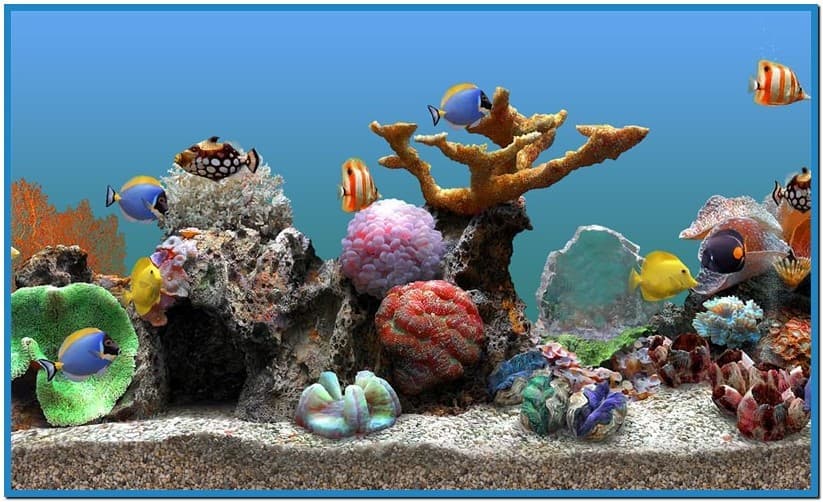 Marine Aquarium Lite Screensaver