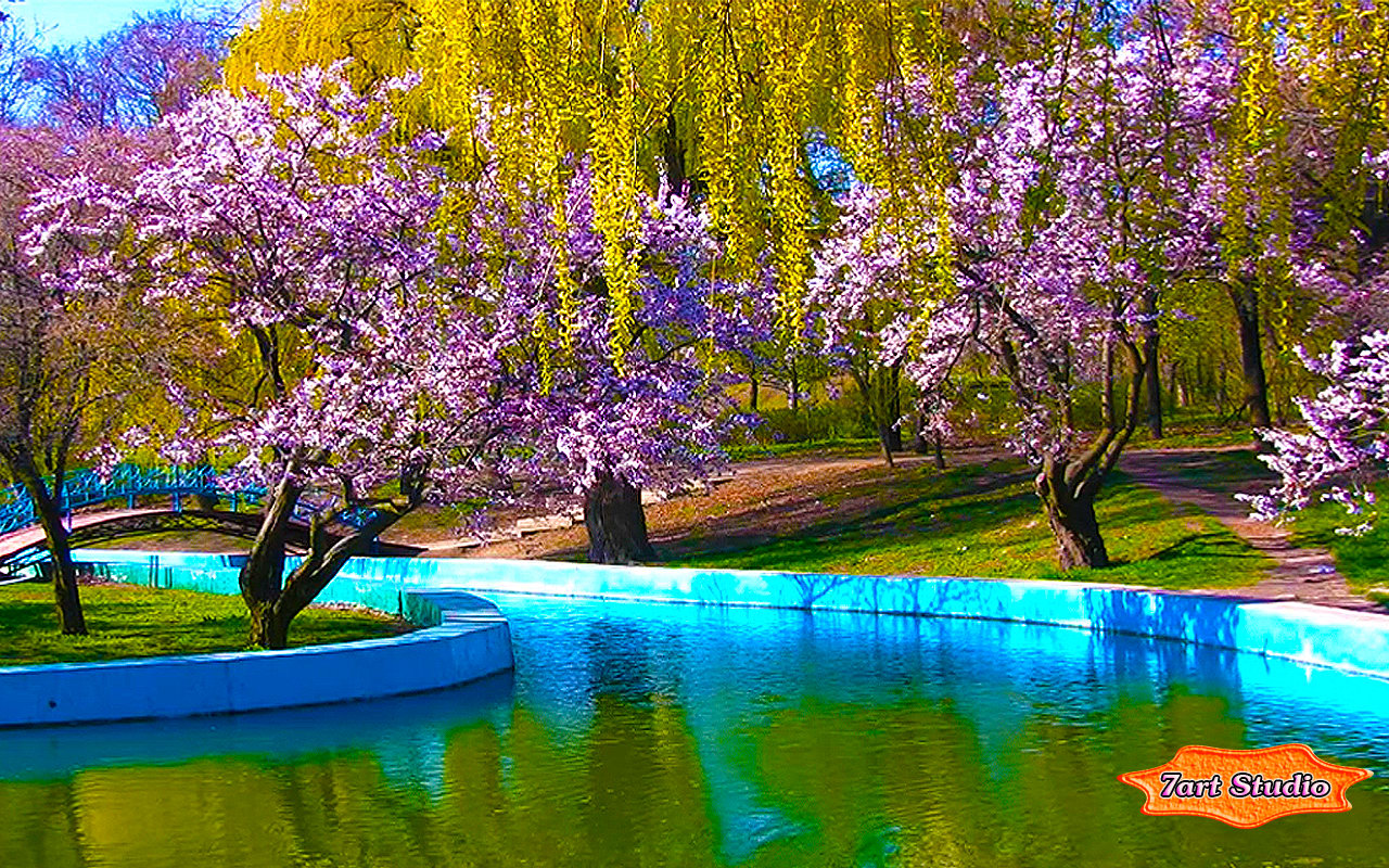 Spring Park Sakura Blossoms screensaver amp animated desktop