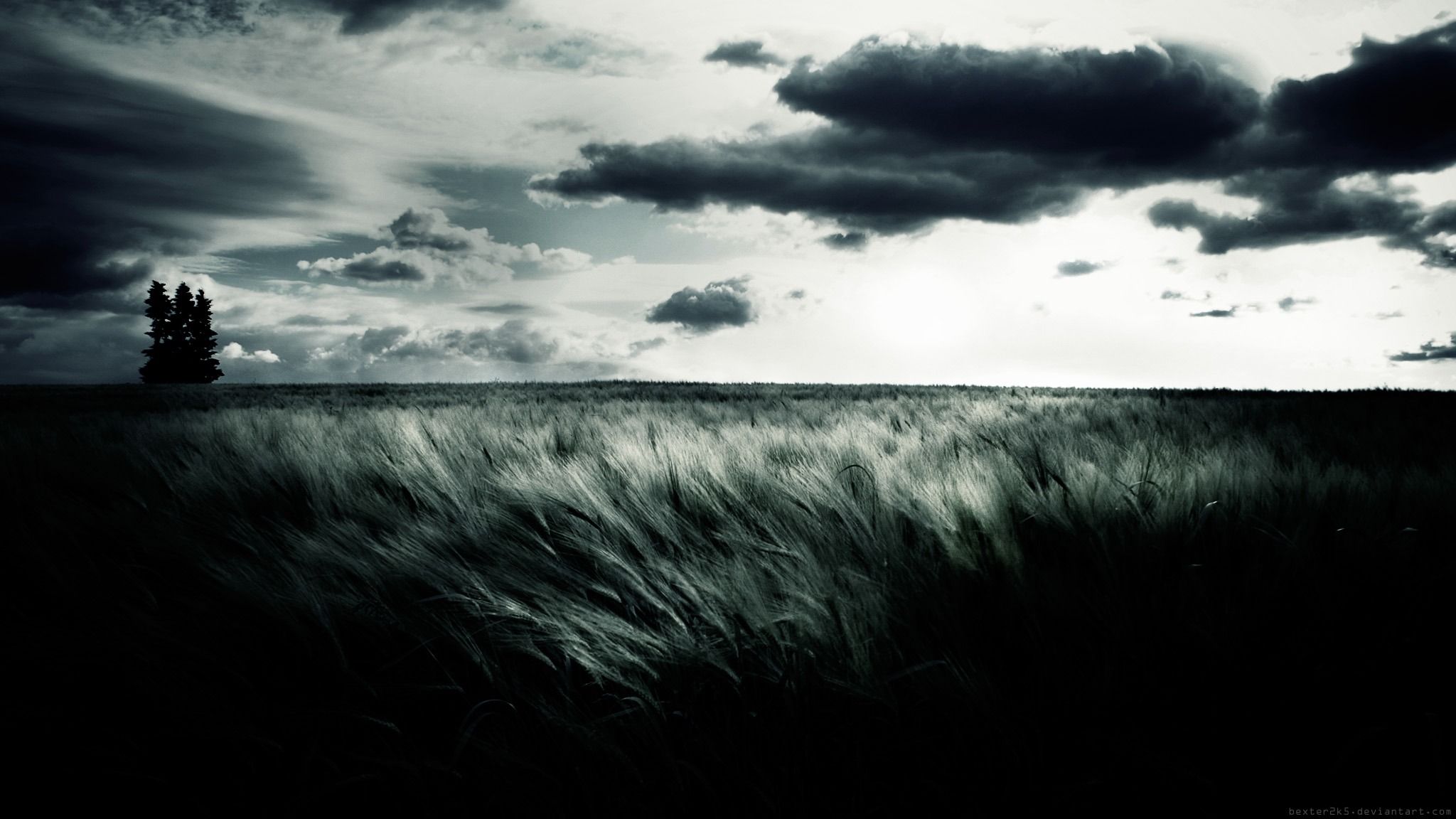 hd wallpaper abstract black and white nature fields wallpapers Car 2048x1152