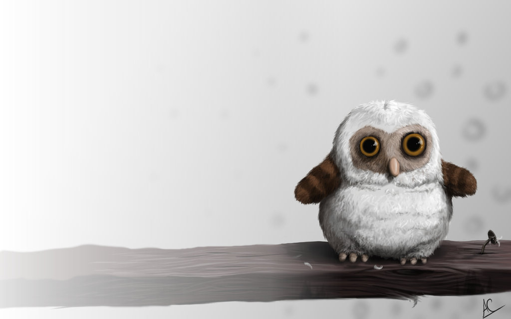Barn Owl Wallpaper By Froggywoggy11