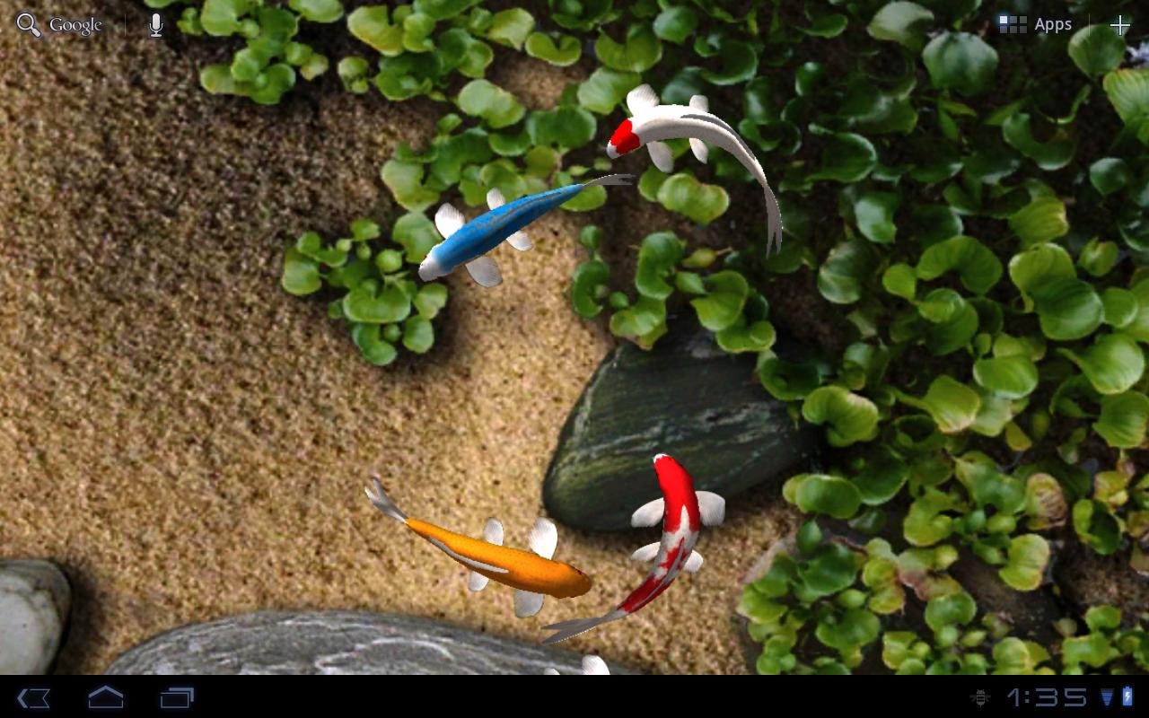 Live Wallpaper Android App Re Koi