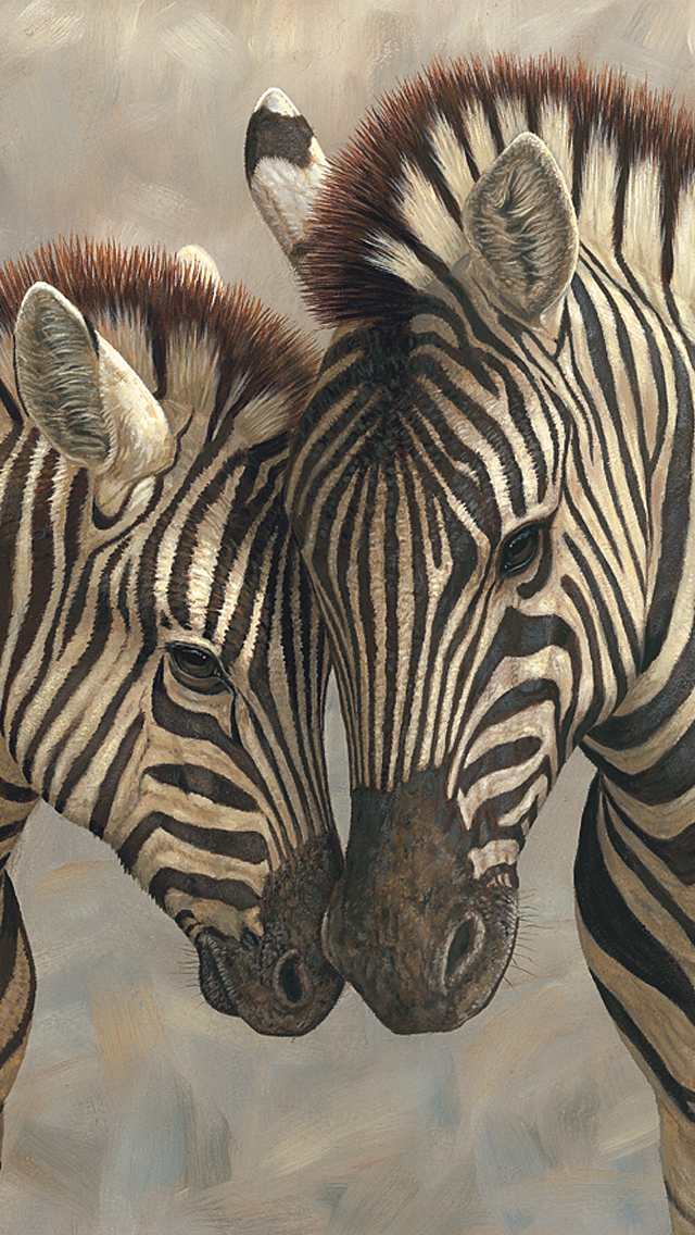 Mother And Baby Zebras iPhone Wallpaper