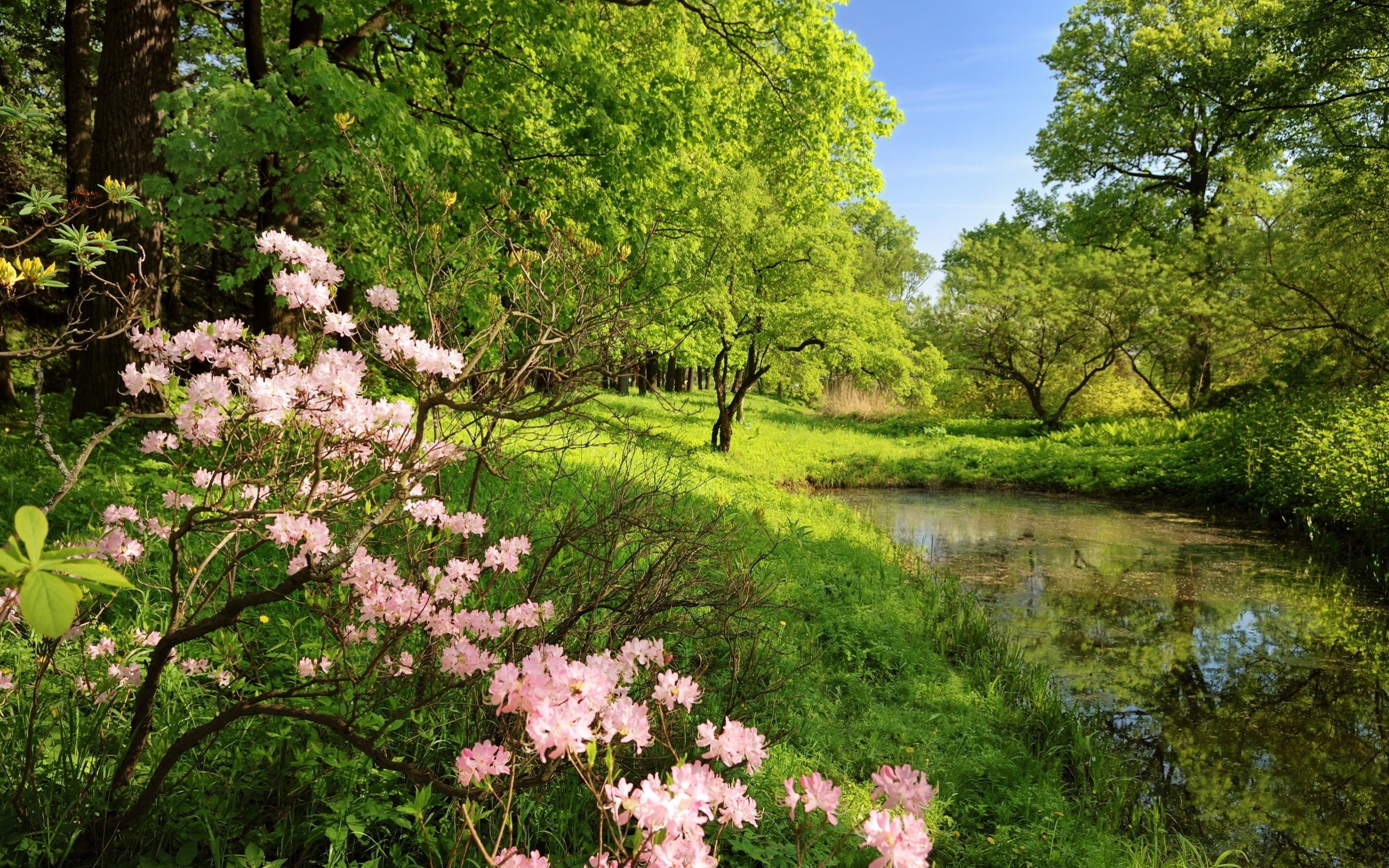 Beautiful Spring River Wallpaper And Image Pictures