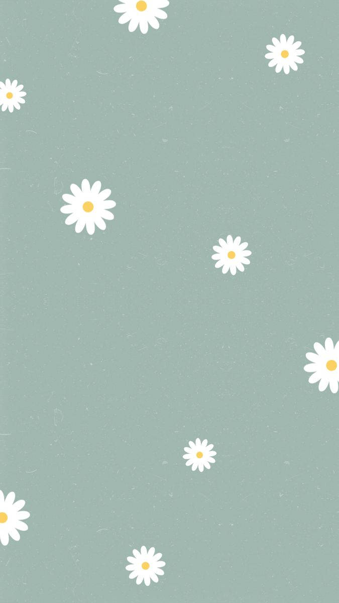 Top Daisy Aesthetic Wallpaper Full HD 4k To Use