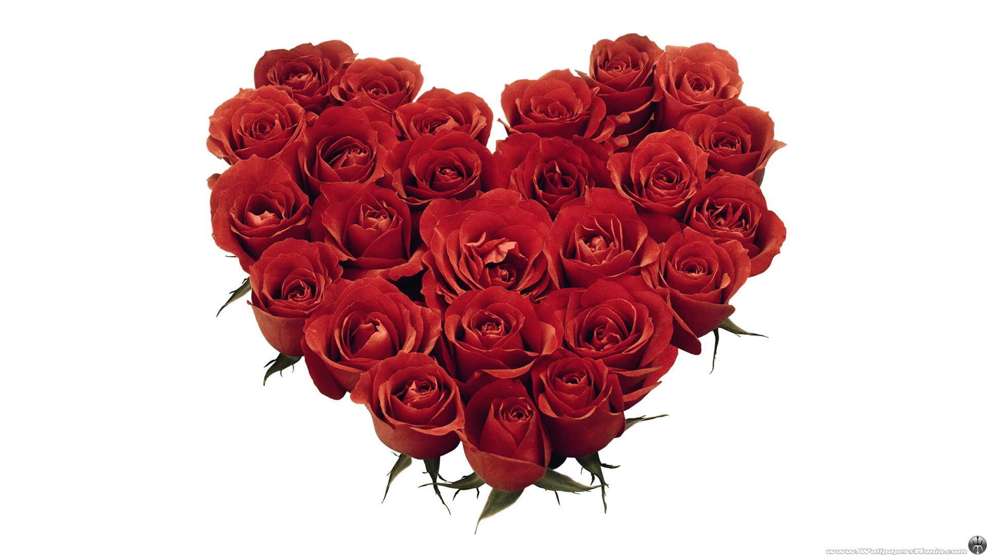 Valentine S Day Red Roses Bouquet Full HD Desktop Wallpaper
