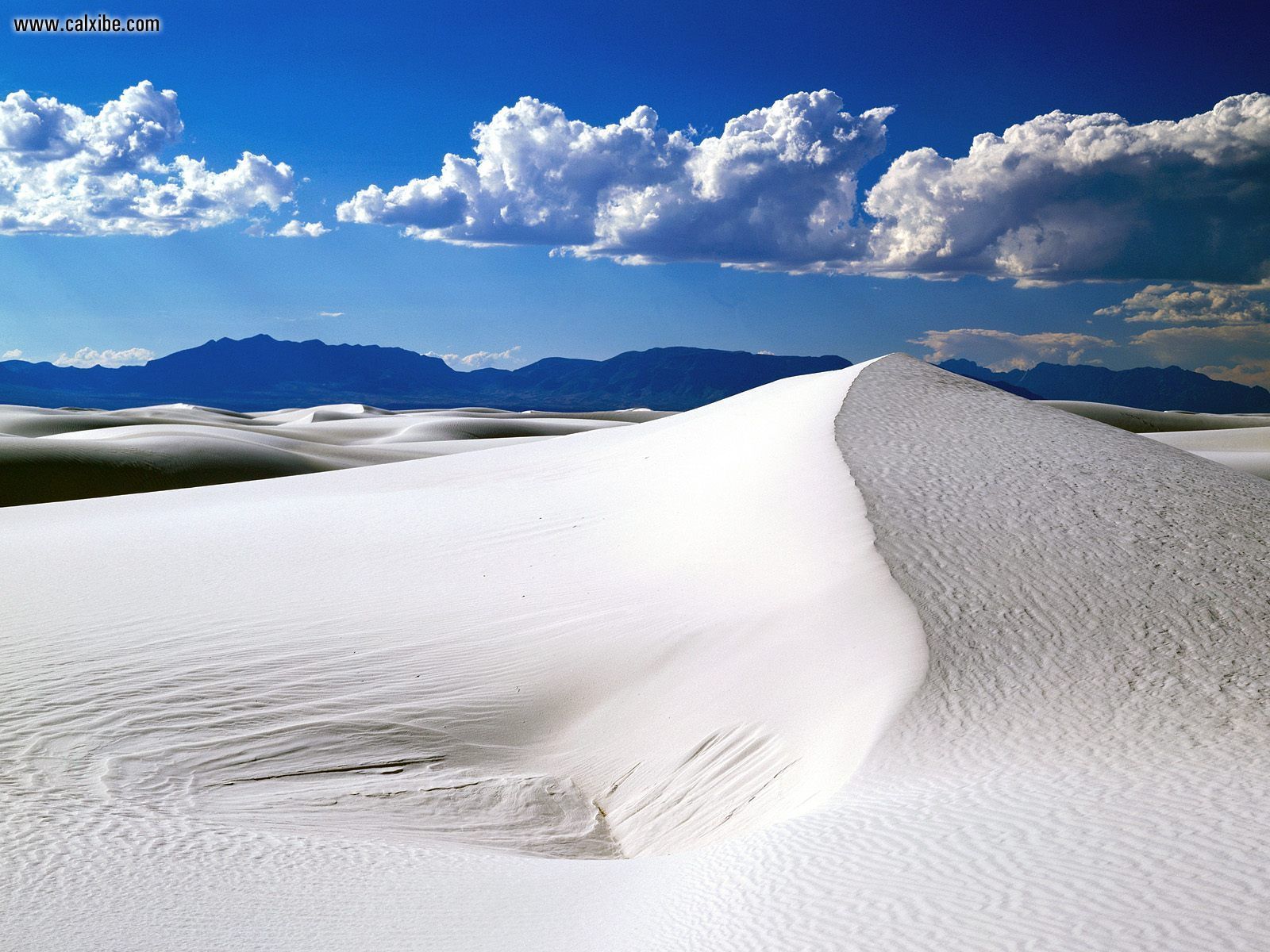White Sands Google Image New Mexico