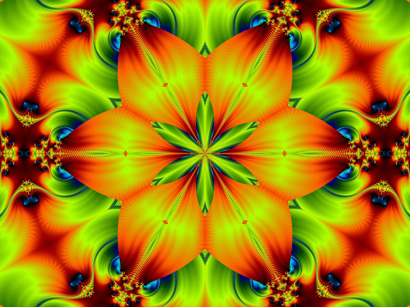 Fire Flower Wallpaper HD Image W Web