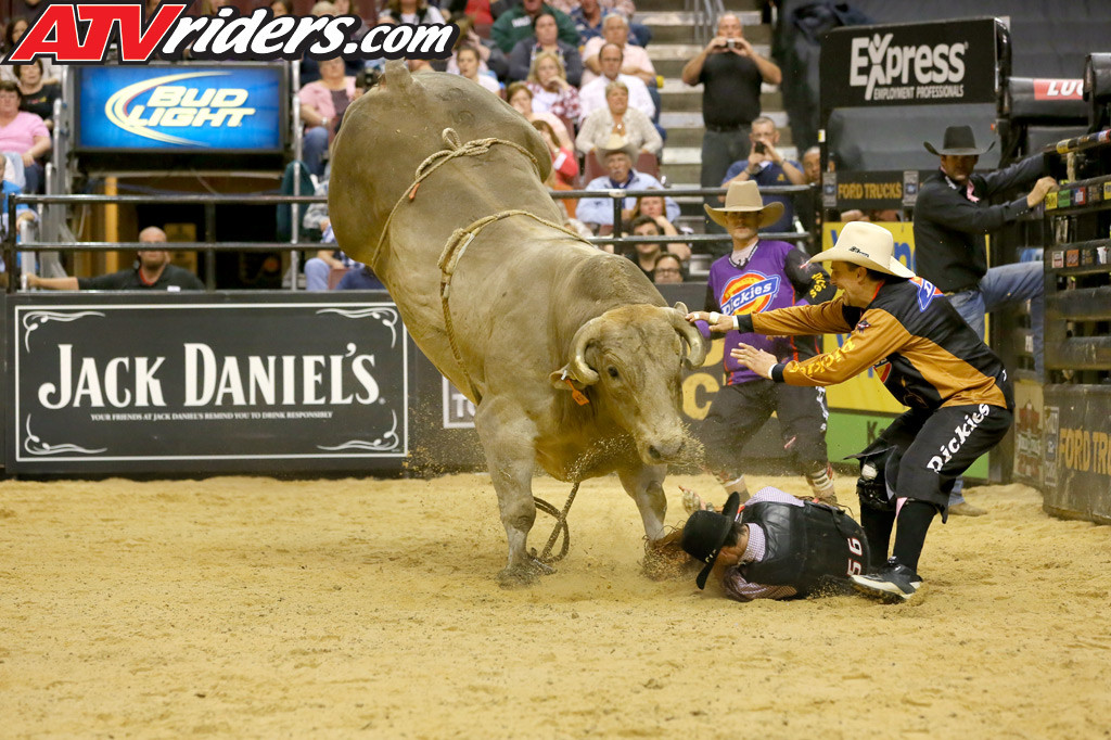 Pbr Wallpapers For Pbr Bulls Wallpaper
