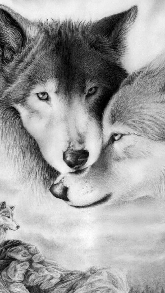 Wolves Wallpaper   Free iPhone Wallpapers