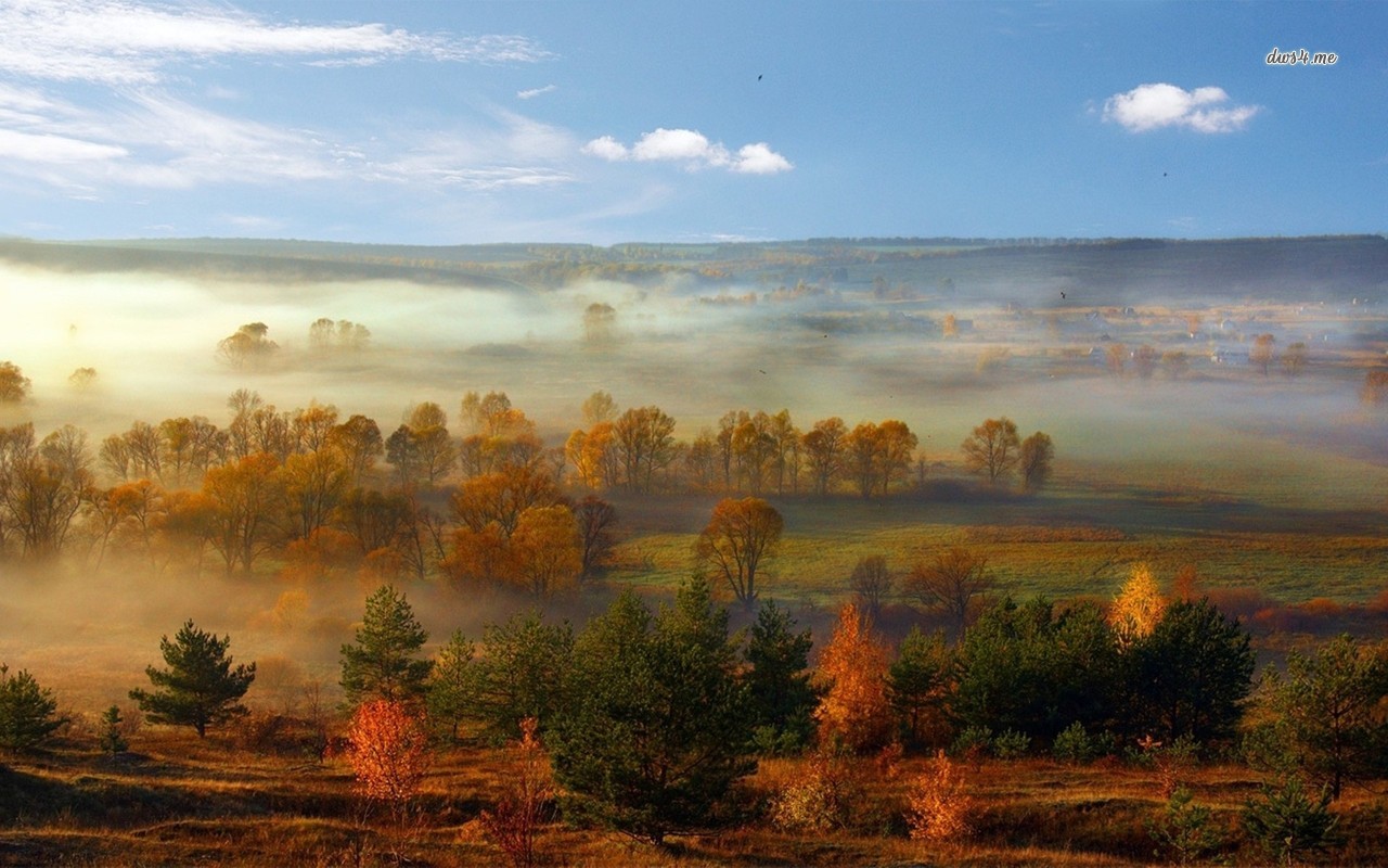 Misty Morning Wallpaper Nature