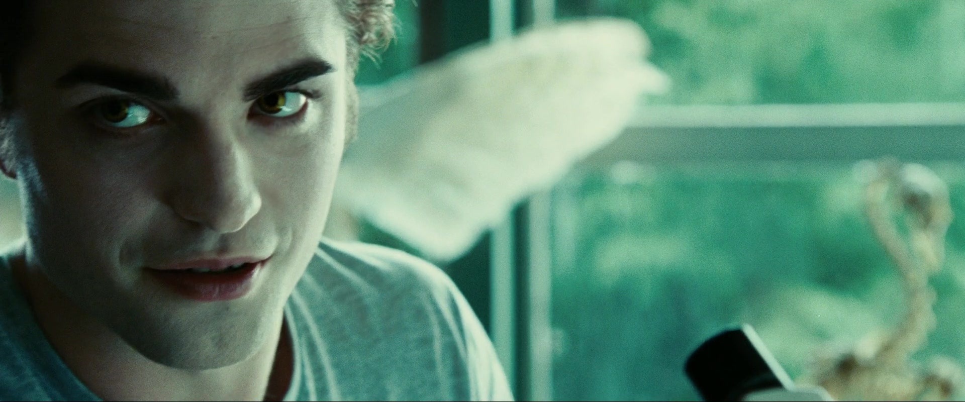 Robert Pattinson Image Twilight Full HD Wallpaper Photos