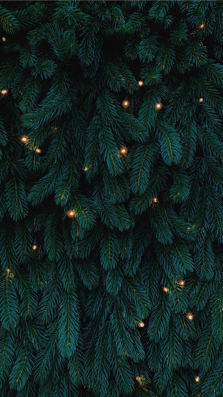 Green Christmas Tree With Lights iPhone Wallpaper