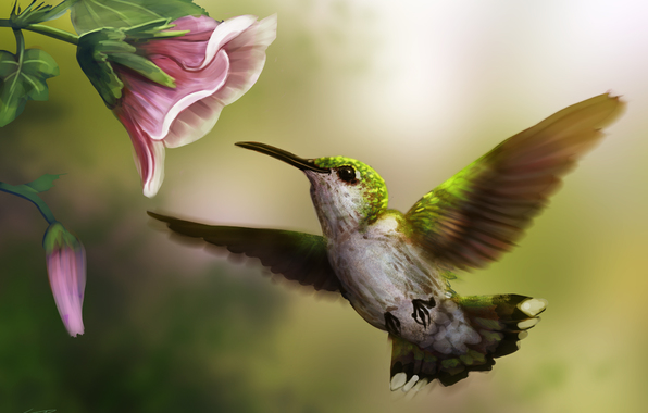 Wallpaper Art Bird Hummingbird Flower Pink Painting