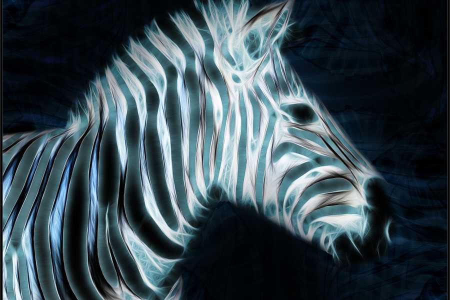 Awesome Fractal Zebra Wallpaper Wallpaper55 Best