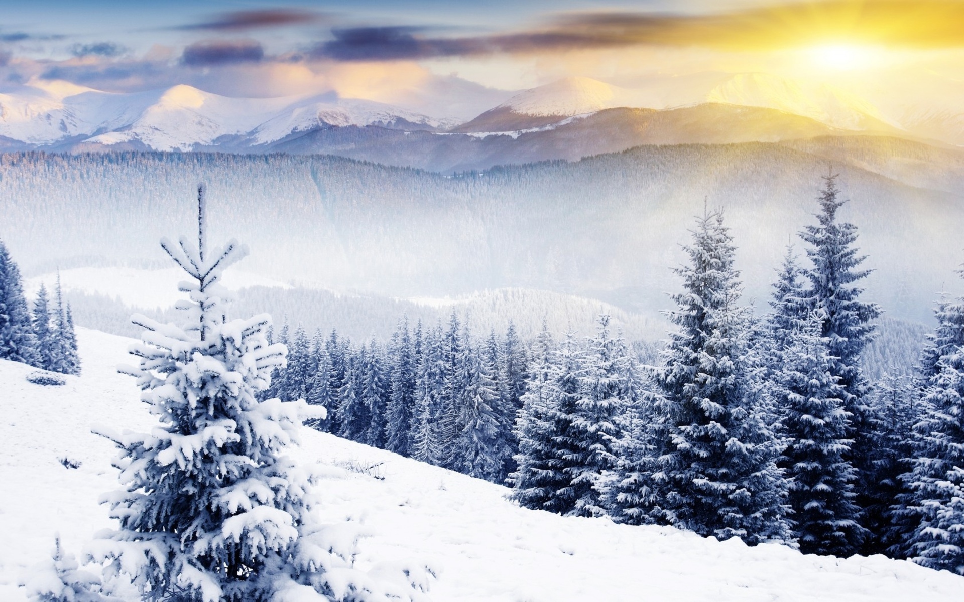 winter scenes   Desktop Wallpaper