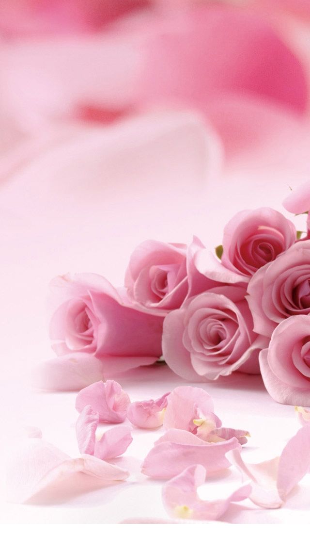 Cute Valentine iPhone Wallpaper To Flowers