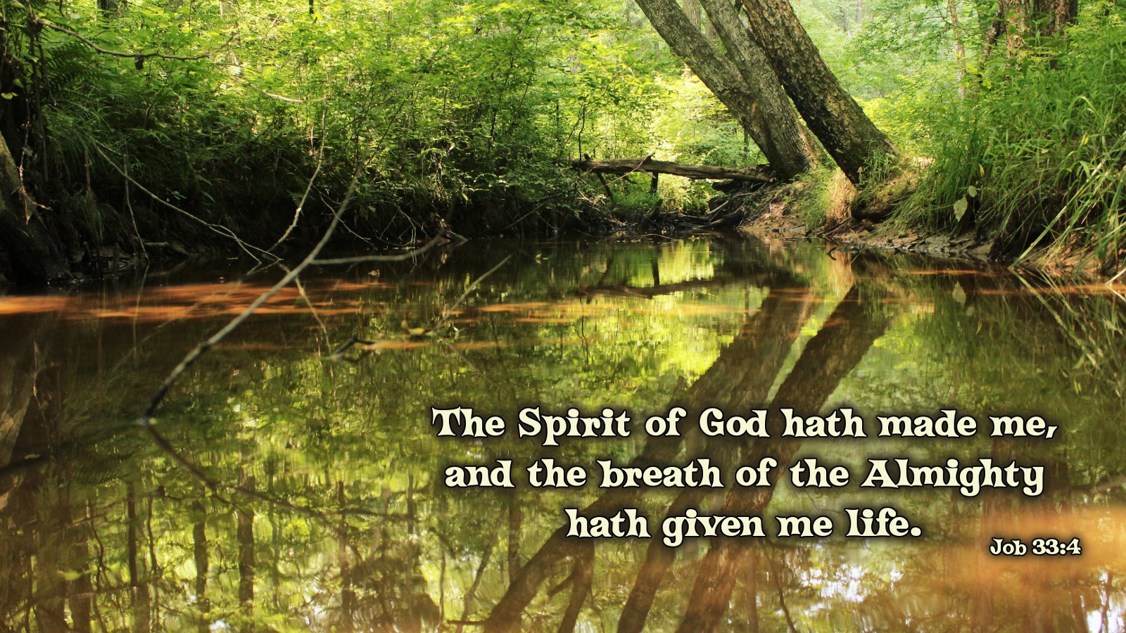 The Spirit Of God Hath Made Me And Breath Almighty