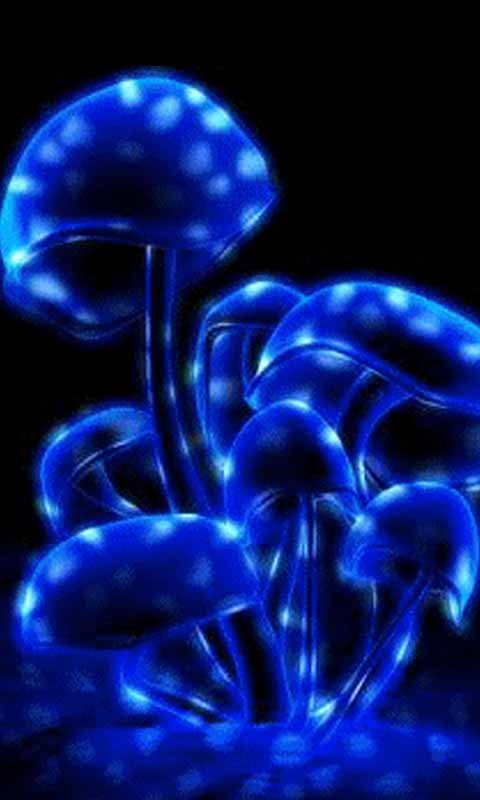 Blue Mushrooms Live Wallpaper Android