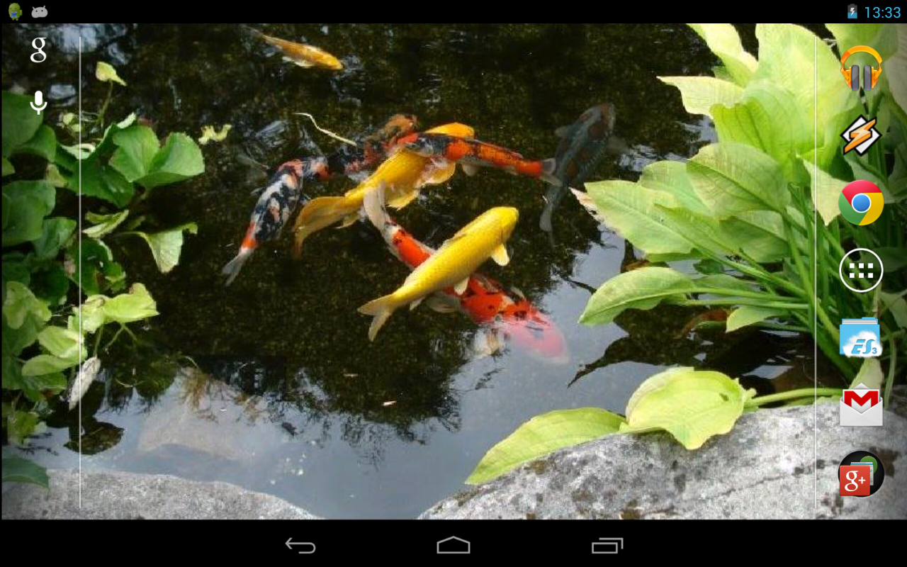 Koi Live Wallpaper This Is Wonderful Interactive