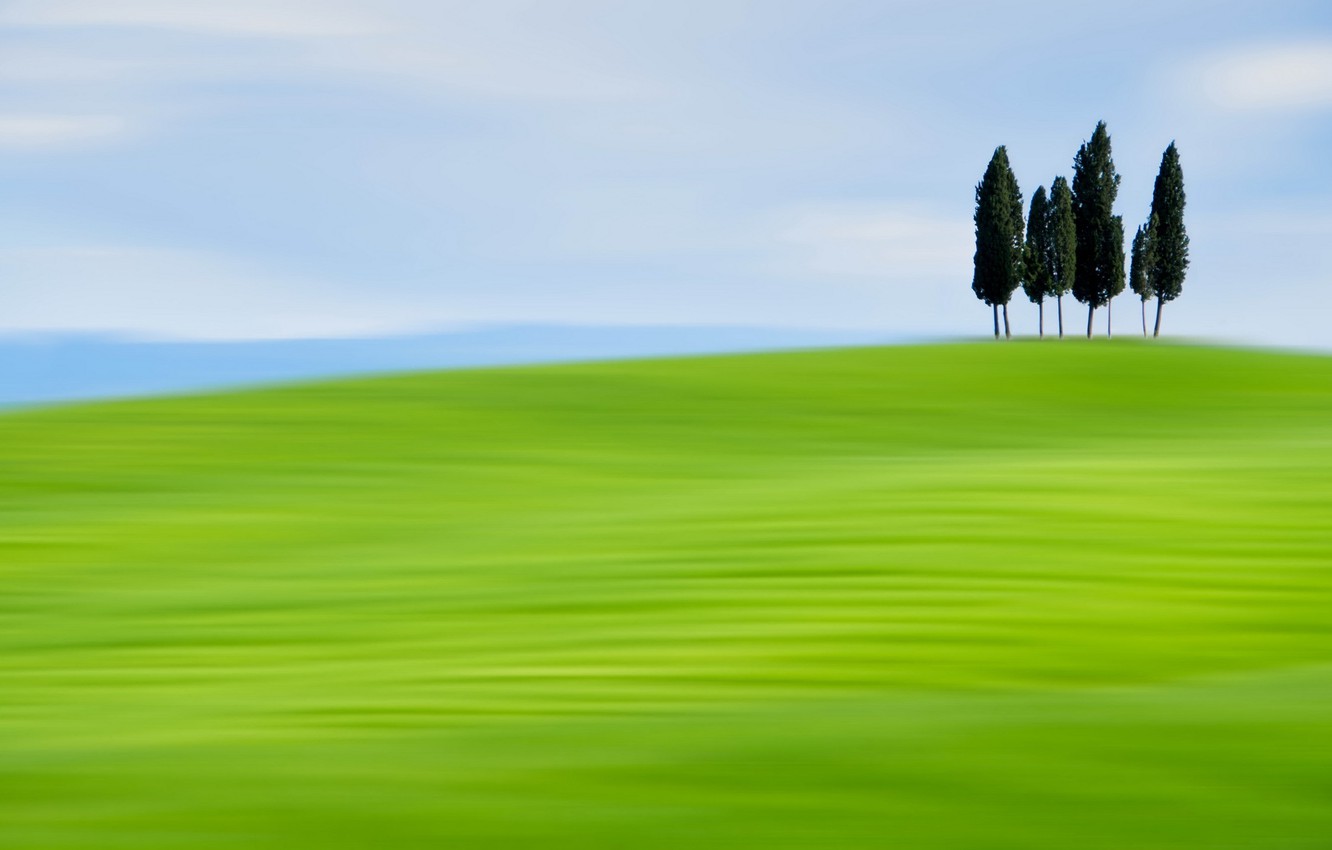 Wallpaper Field The Sky Cypress Image For Desktop Section