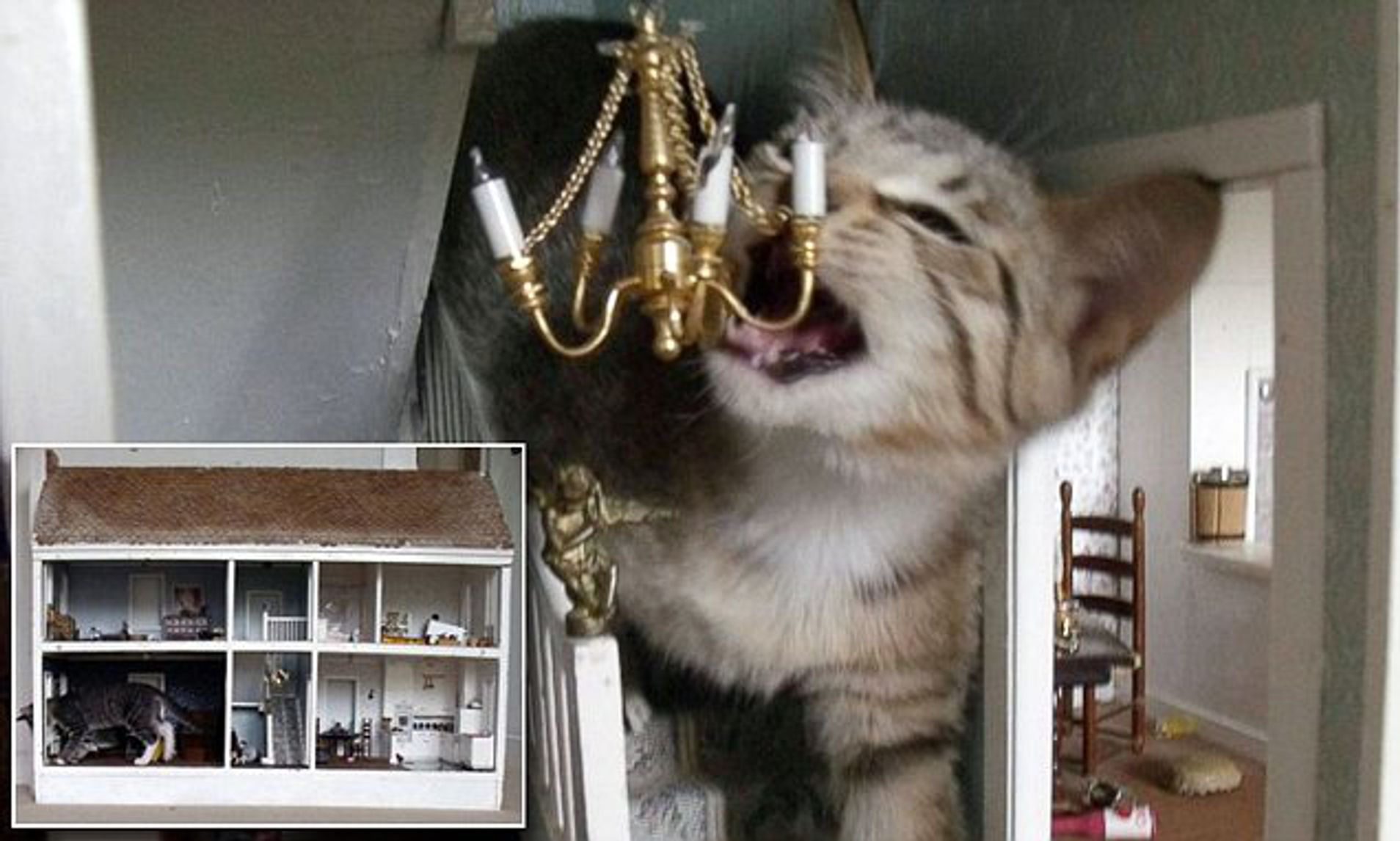 Kitten Destroying A Dollhouse Nicknamed Catzilla And Kat Kong