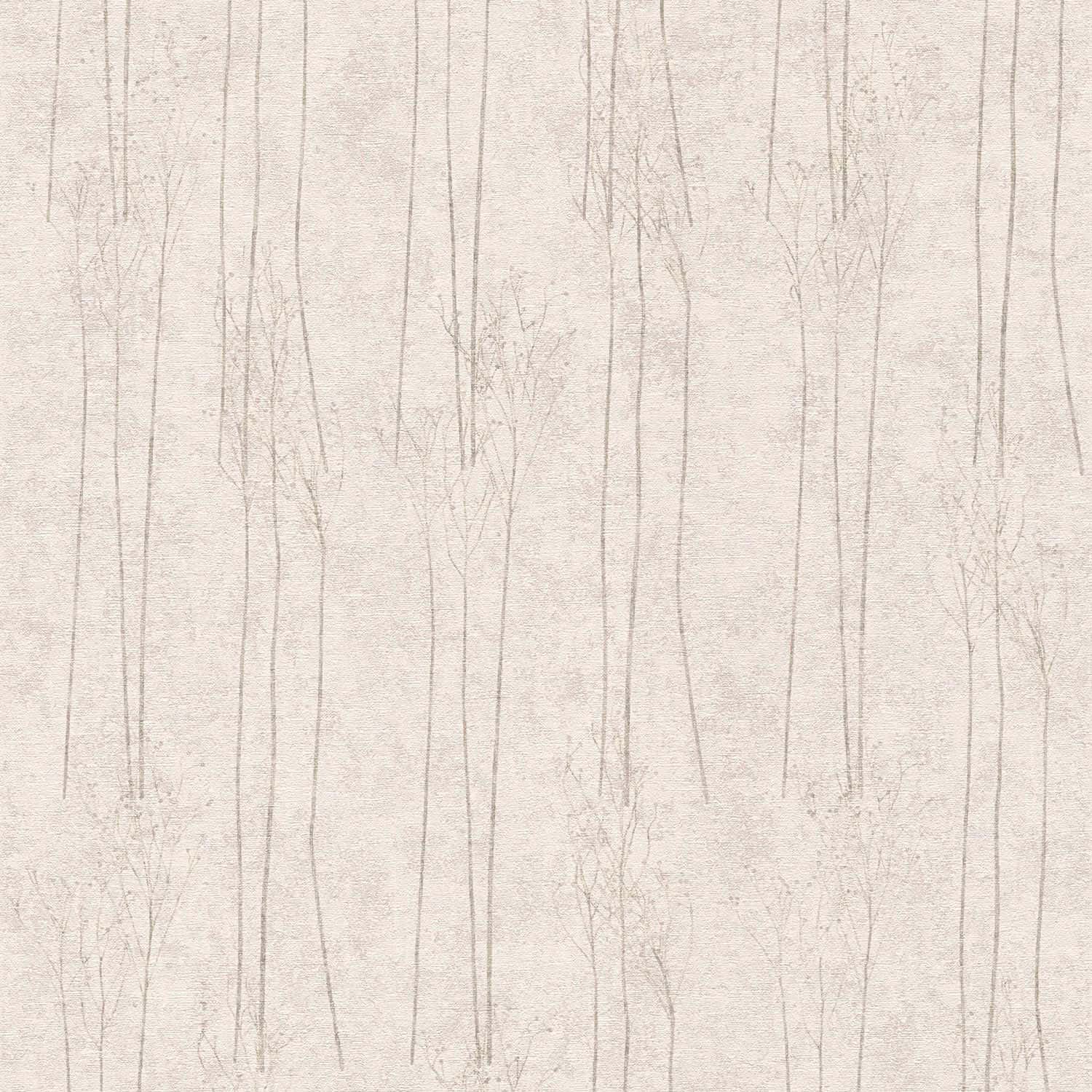 Pampas Grass Background Wallpaper