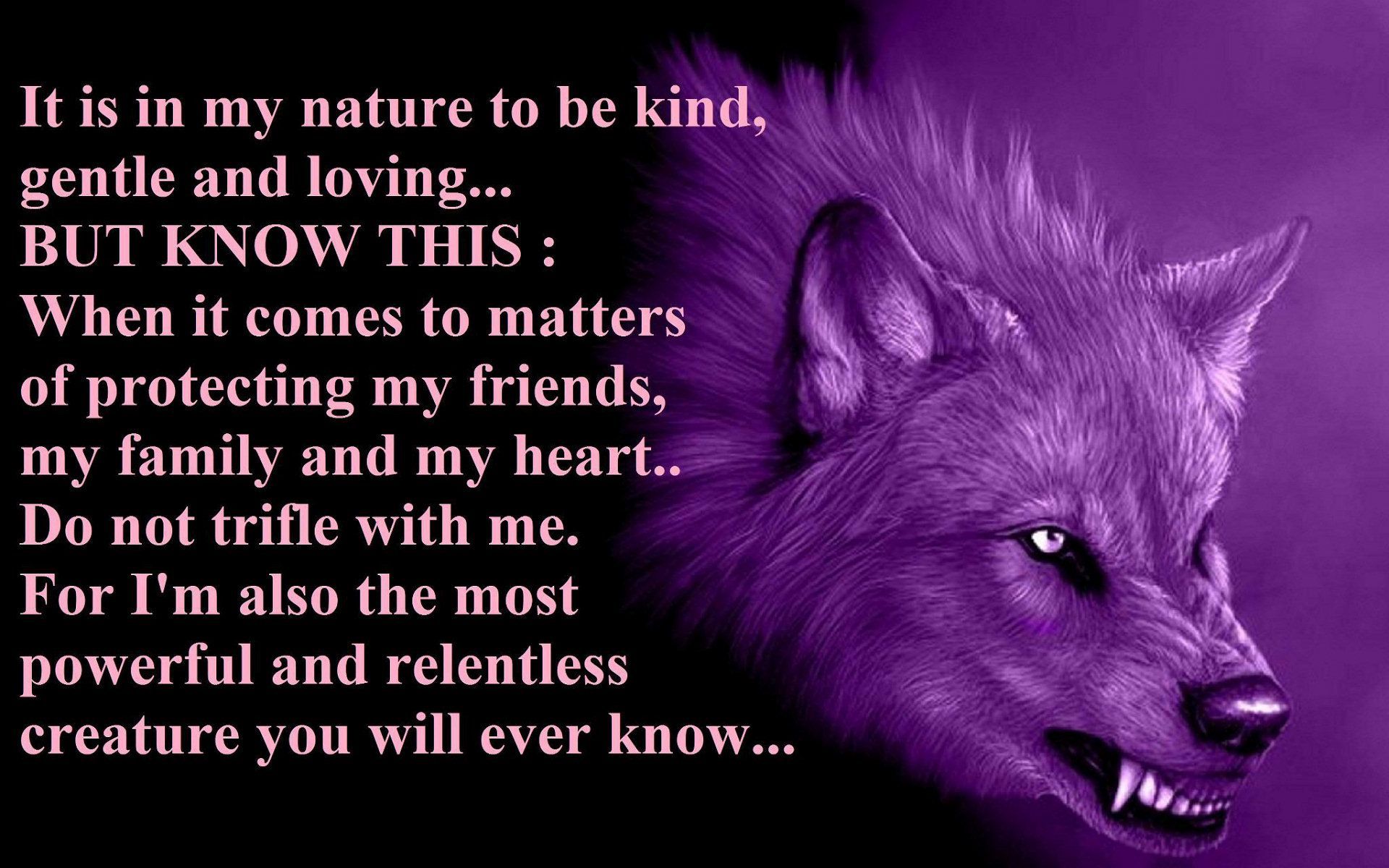 Free Download 20 Lone Wolf Quote Wallpapers Download At WallpaperBro 