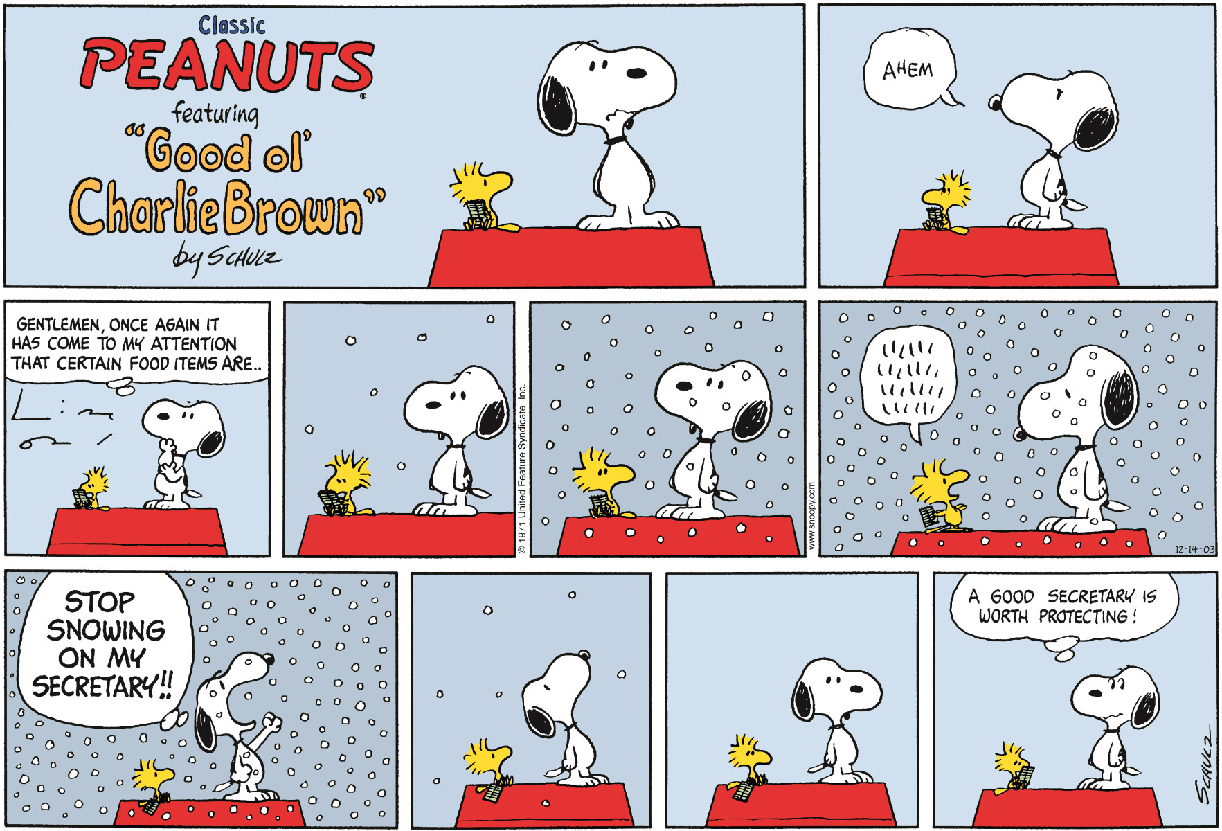 The Meaning Behind Woodstock Character In Peanuts Wallpaper