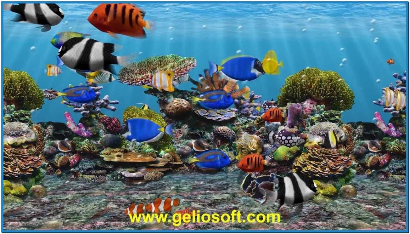 search best aquarium screensaver.