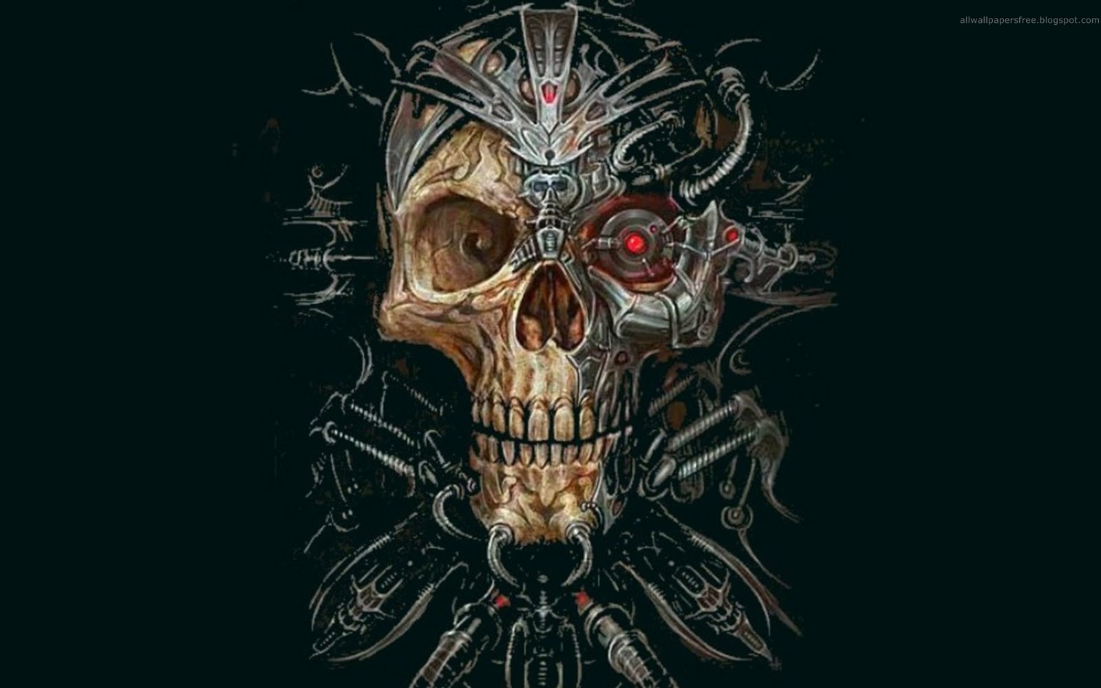 Skull Background Wallpaper HD