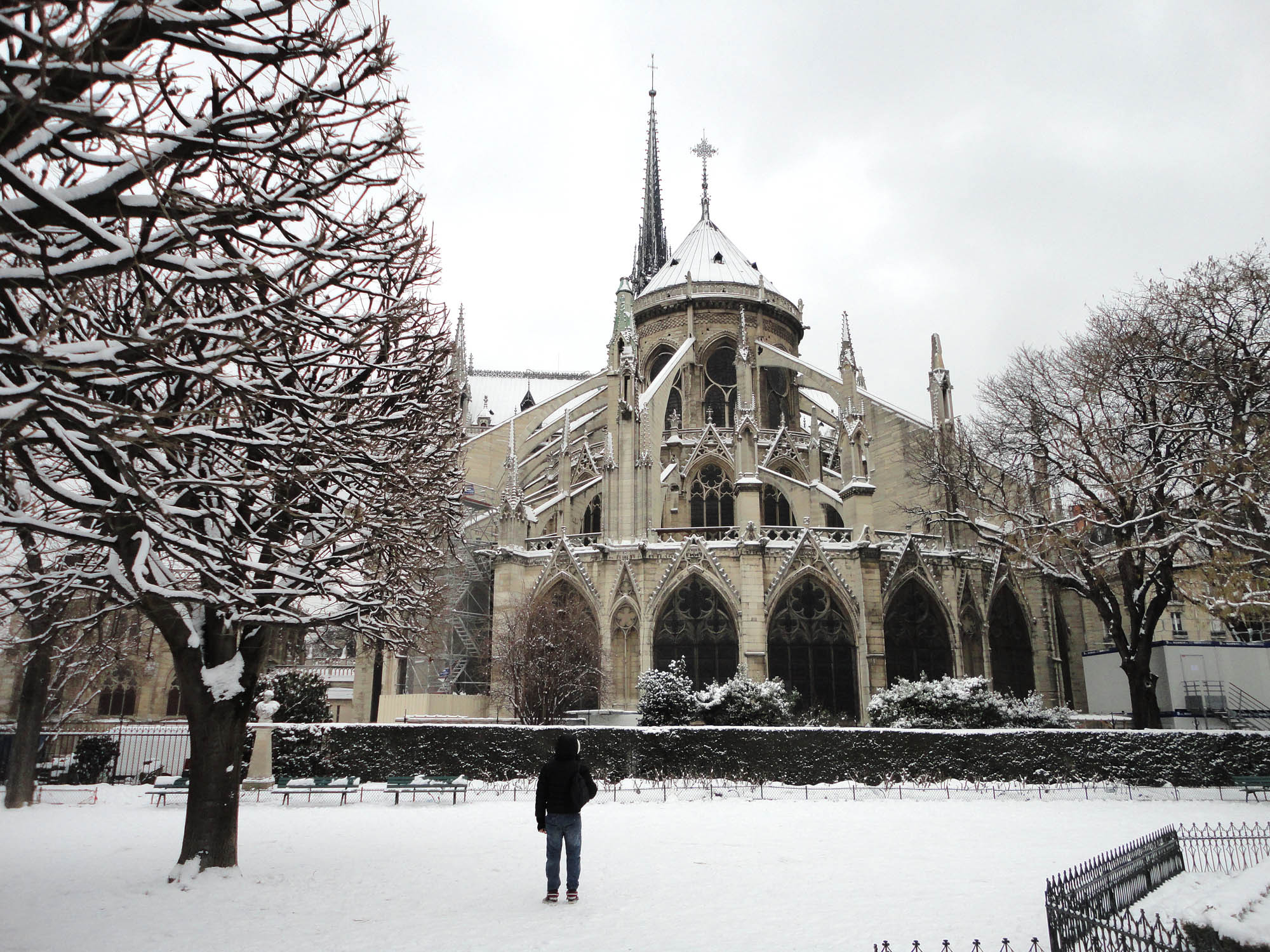 Snow In Paris Notre Dame Wallpaper And Image Pictures
