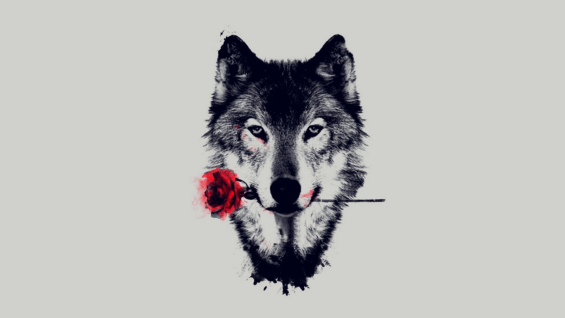Lone Wolf Wallpaper Animals Abstract Black And White