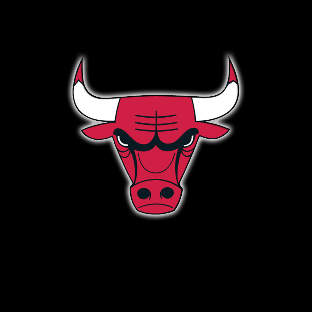Nba Chicago Bulls Basketball Team Logo On Wood Hd Wallpaper Short