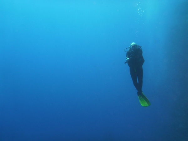 scuba diving underwater 1667x1250 wallpaper Oceans Wallpapers