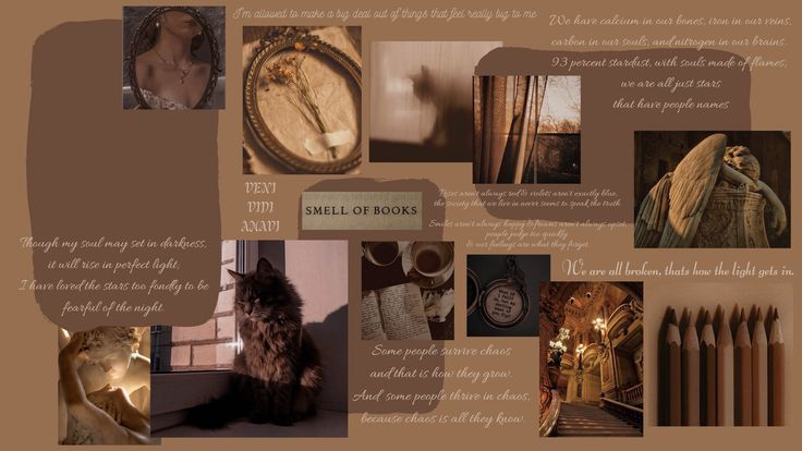 Dark Brown Aesthetic Wallpaper Plain Artofit
