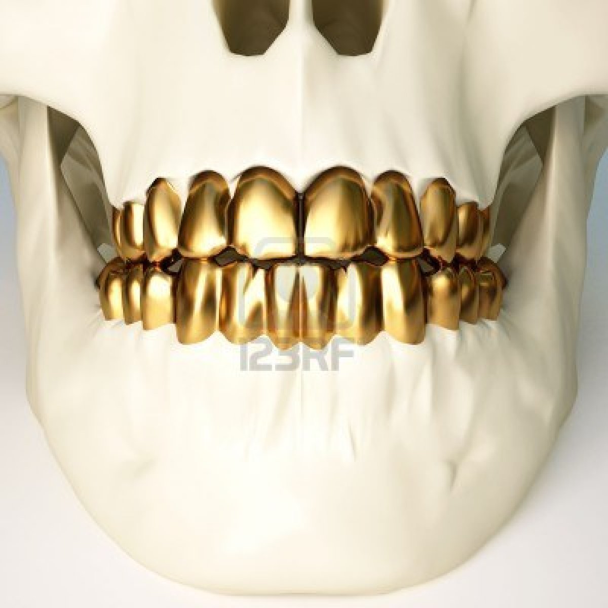 Fenryss Gold Teeth Colection