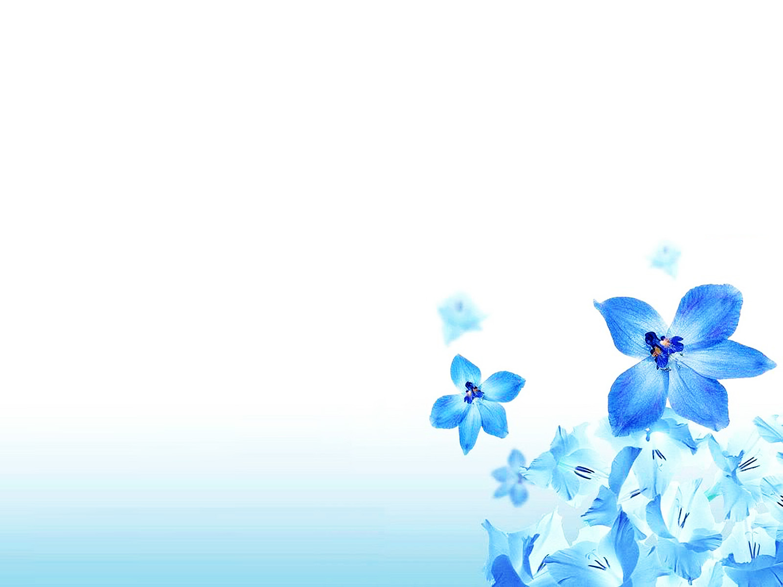 Christian Flower Ppt Background Background Templates