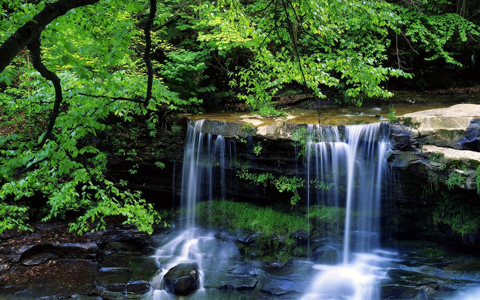 Nature Beautiful Small Waterfall In The Forest HD Desktop Wallpaper