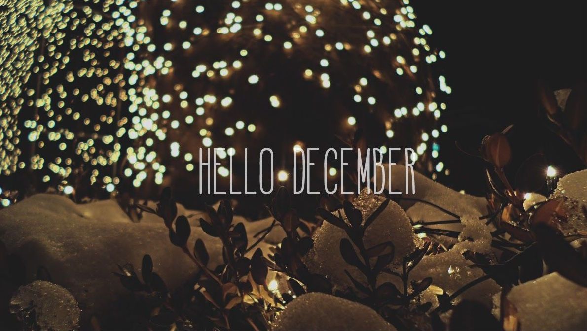 Poster hello december with wallpaper of green leafy flower frame Vector  Stock Vector Image  Art  Alamy