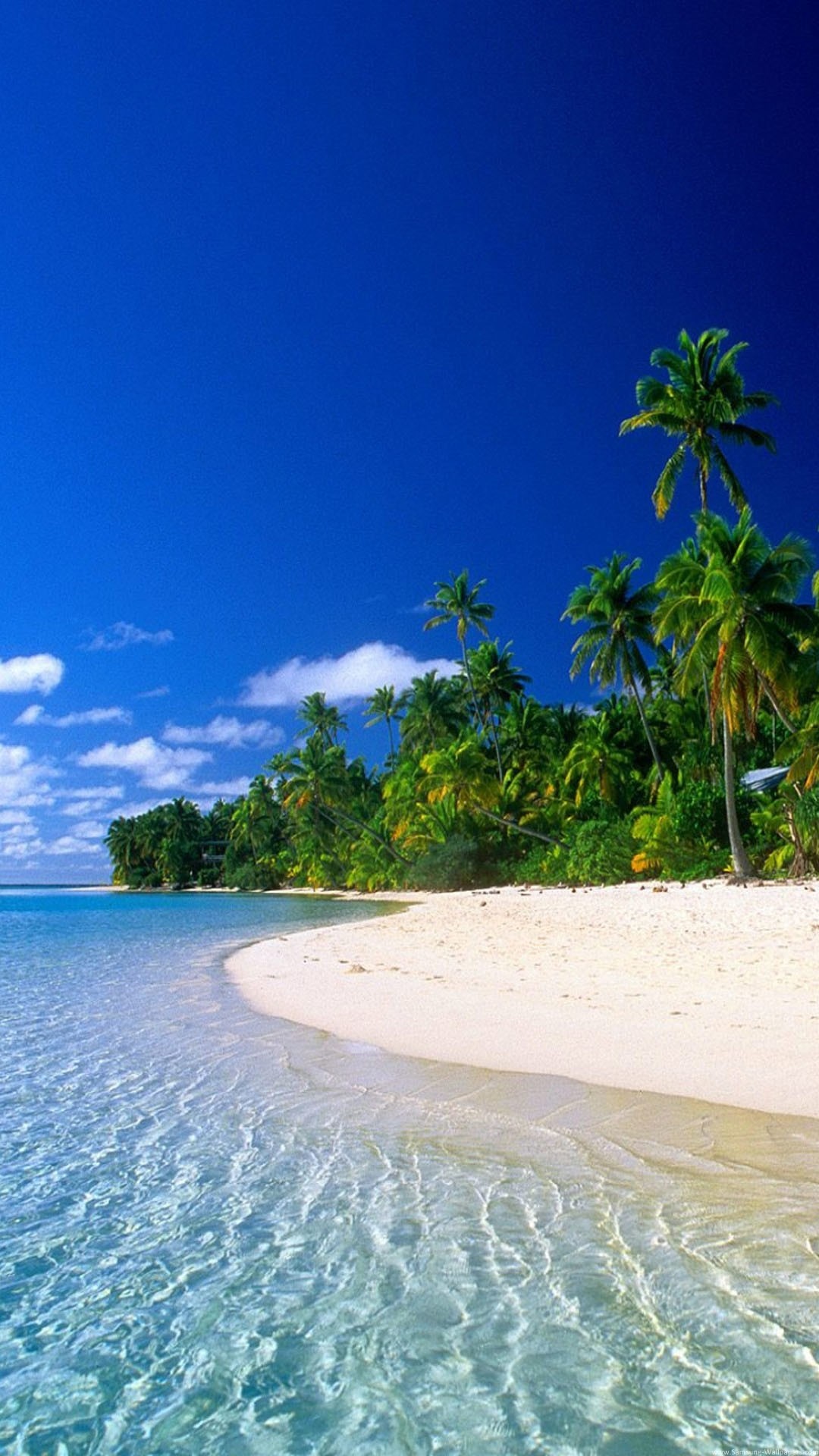 A breathtaking tropical island paradise with crystal-clear turquoise water gently lapping against a pristine white sandy beach, lined with lush palm trees under a vibrant blue sky