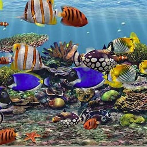 3D Aquarium Live Wallpaper HD 10 APKDAD