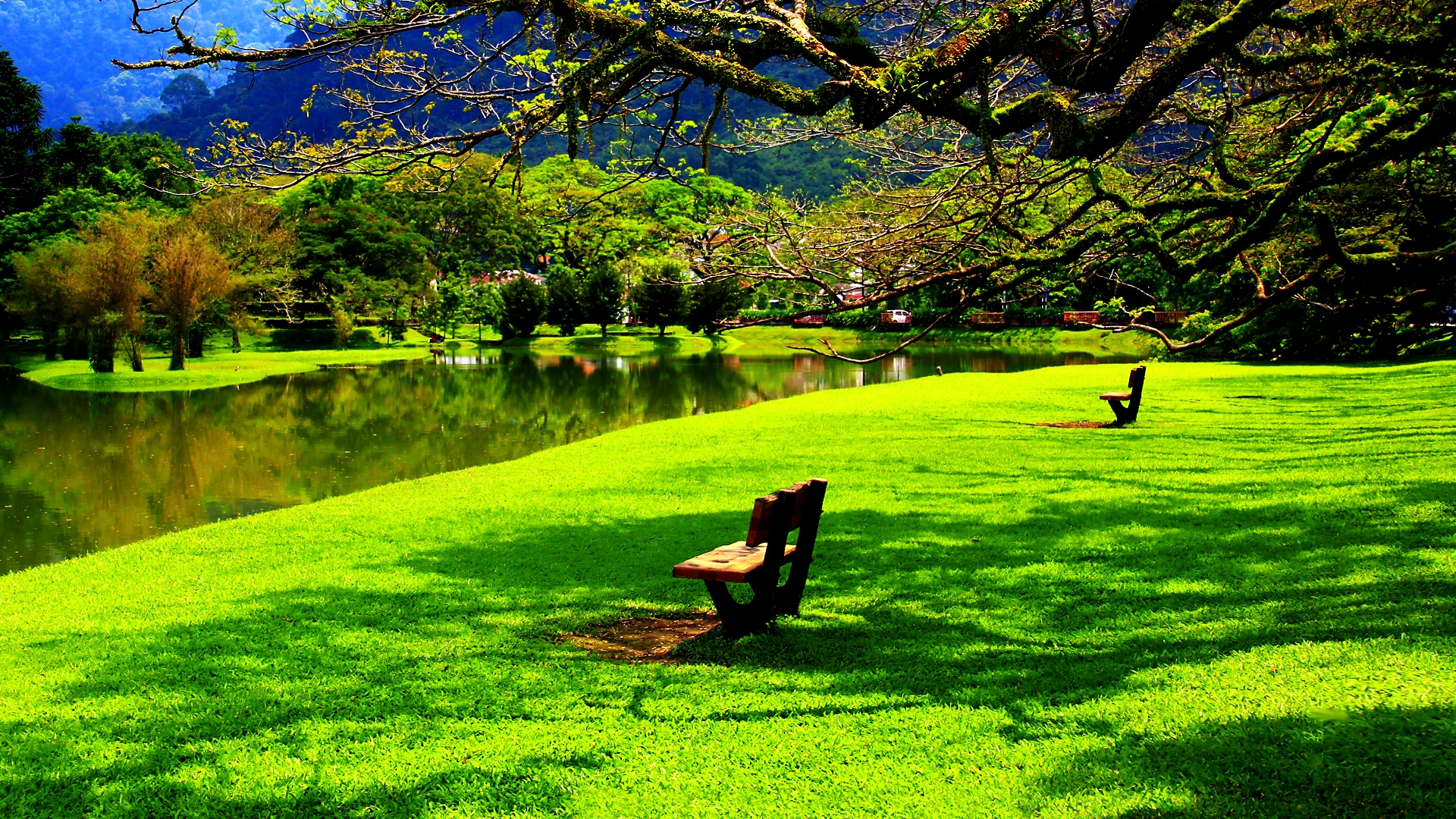Lovely Place Nature Wallpaper