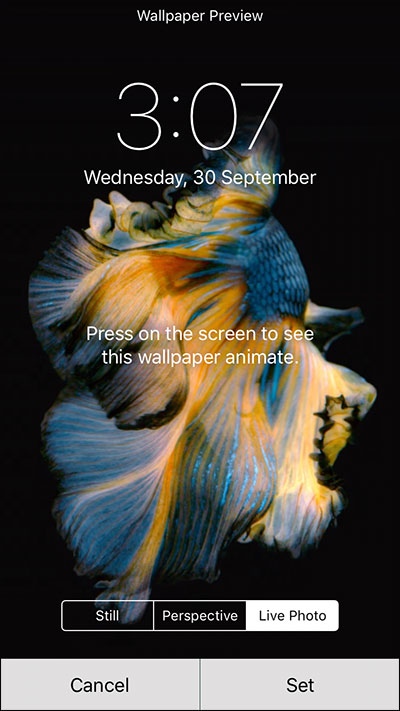 How to Set and Use Live Wallpapers on iPhone 6s and 6s Plus
