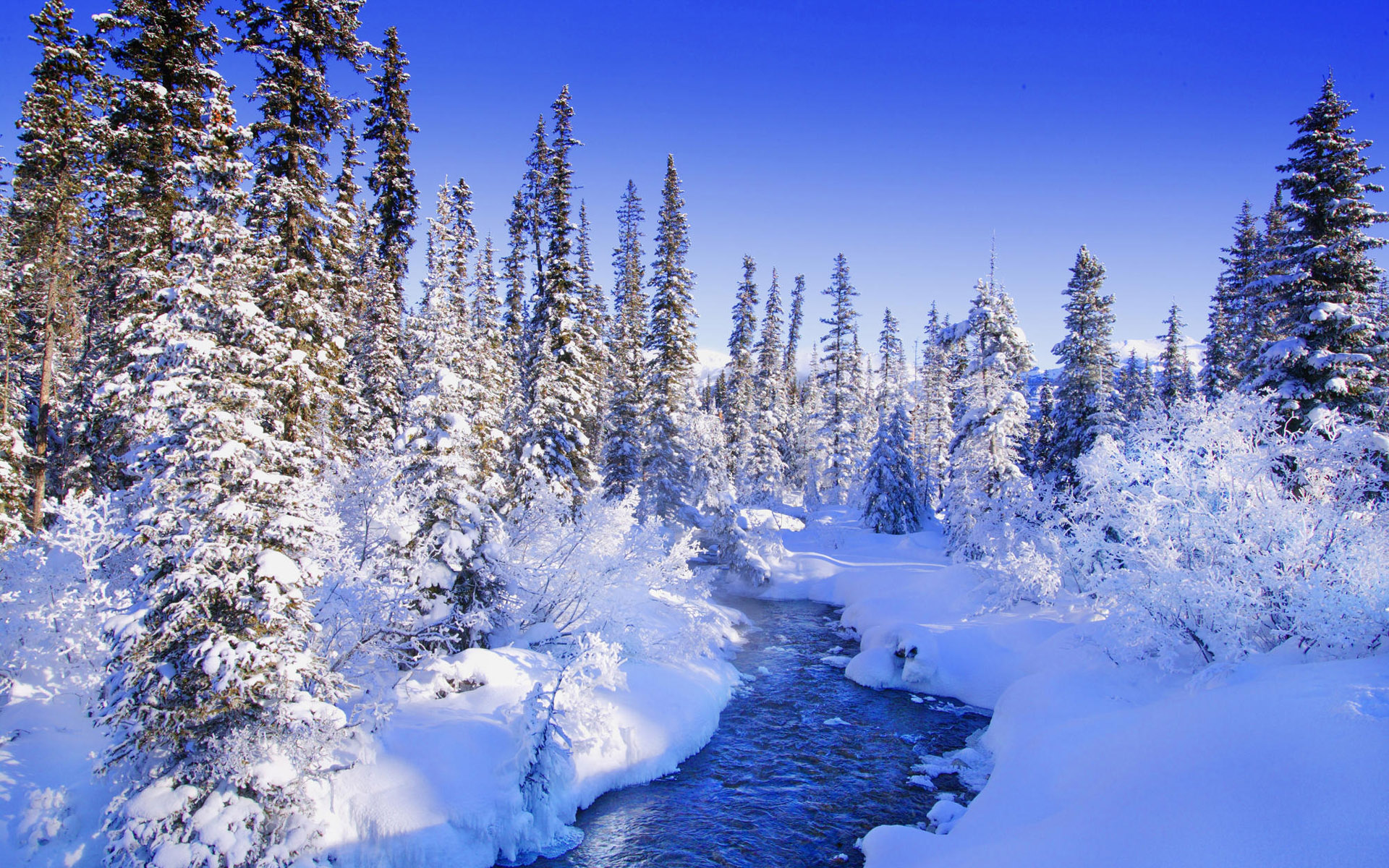 Winter Forest River Wallpaper And Image Pictures