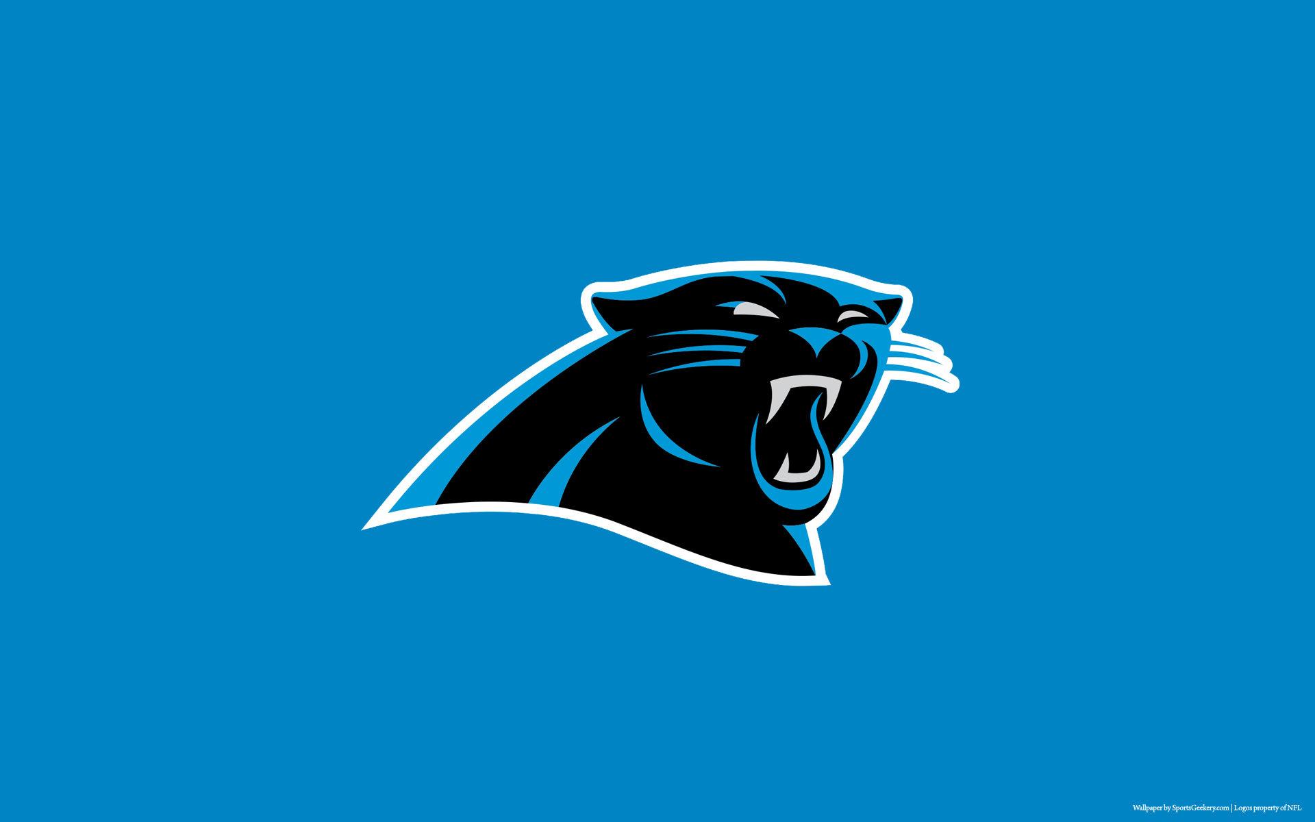 Carolina Panthers Blue Wallpaper for Phones and Tablets 1920x1200