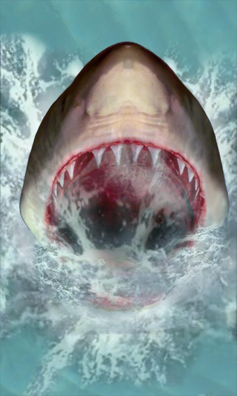 Shark Attack Live Wallpaper Android Apps On Google Play