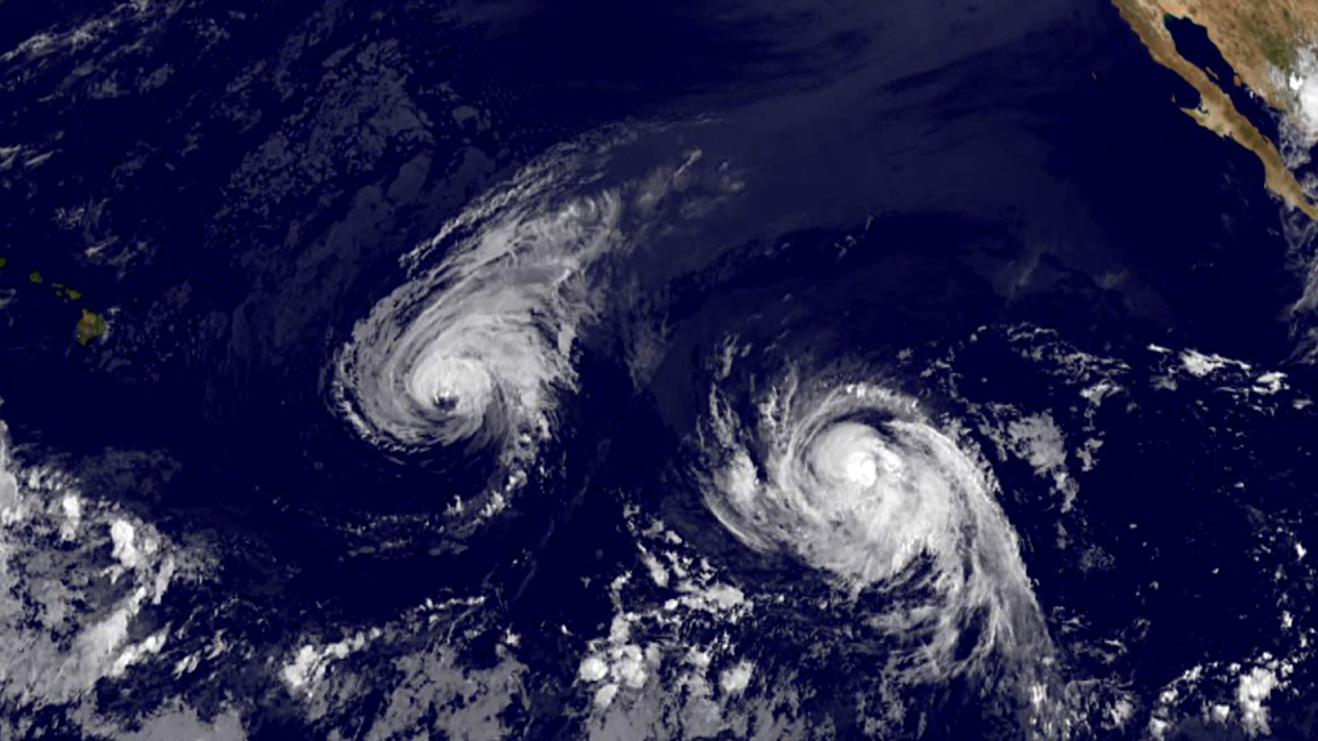 Hurricanes Wallpaper