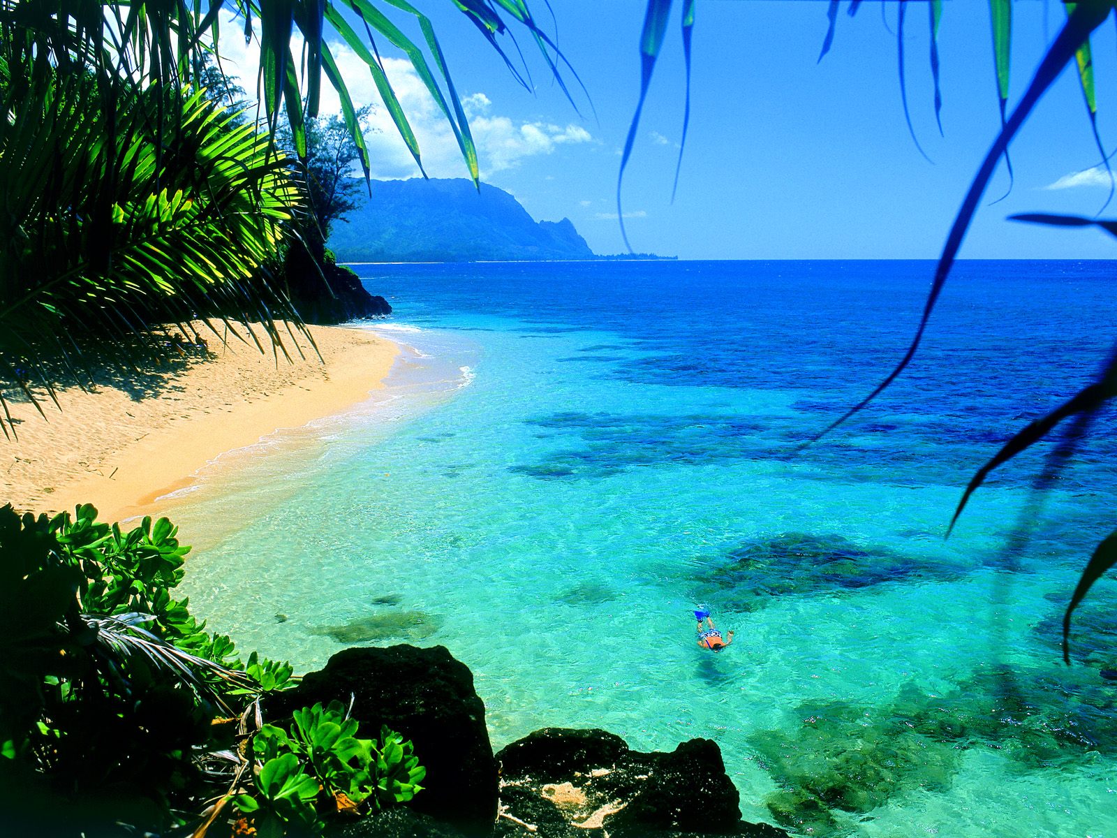 The Beach Wallpaper Category Of HD Hawaii Beaches