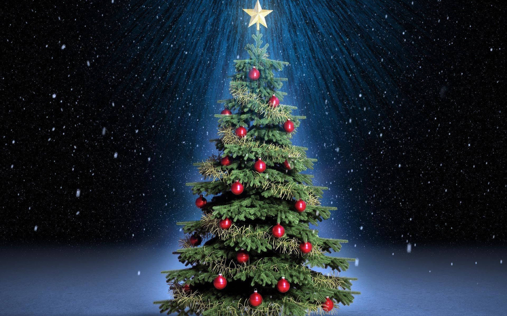 Christmas Vacation Wallpaper S